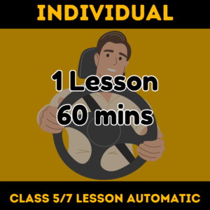 Individual Driving Lesson in Victoria